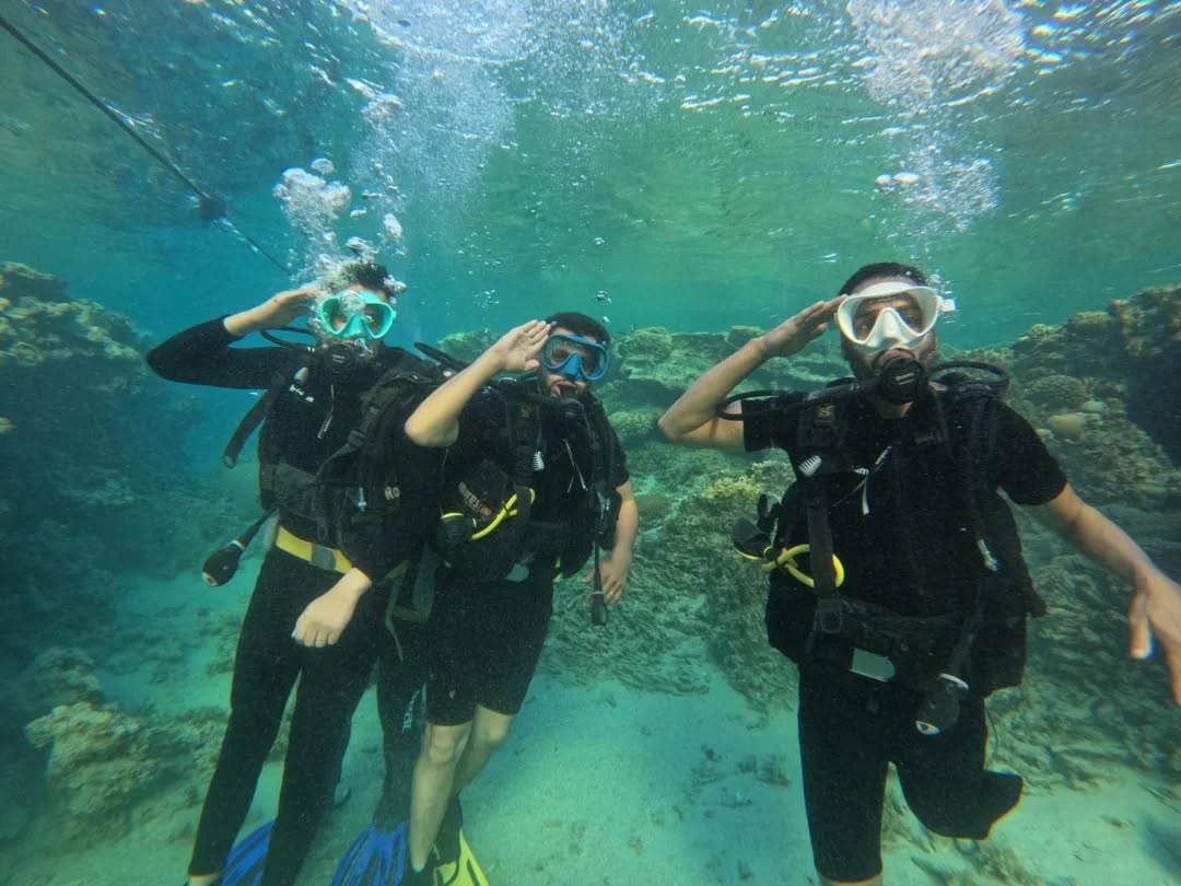 681275320_17877444225575722_739391269992614sd2132_n